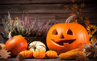 Fun Pumpkin Trivia Quiz: Can You Get 23 Out of 23? Fun Pumpkin Trivia Quiz: Can You Get 23 Out of 23?