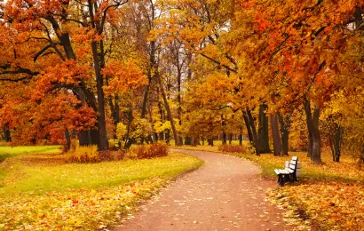 100 October Quotes to Celebrate the Beauty of Fall